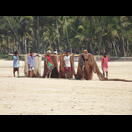 Nur ein kleiner Teil des langen Netzes